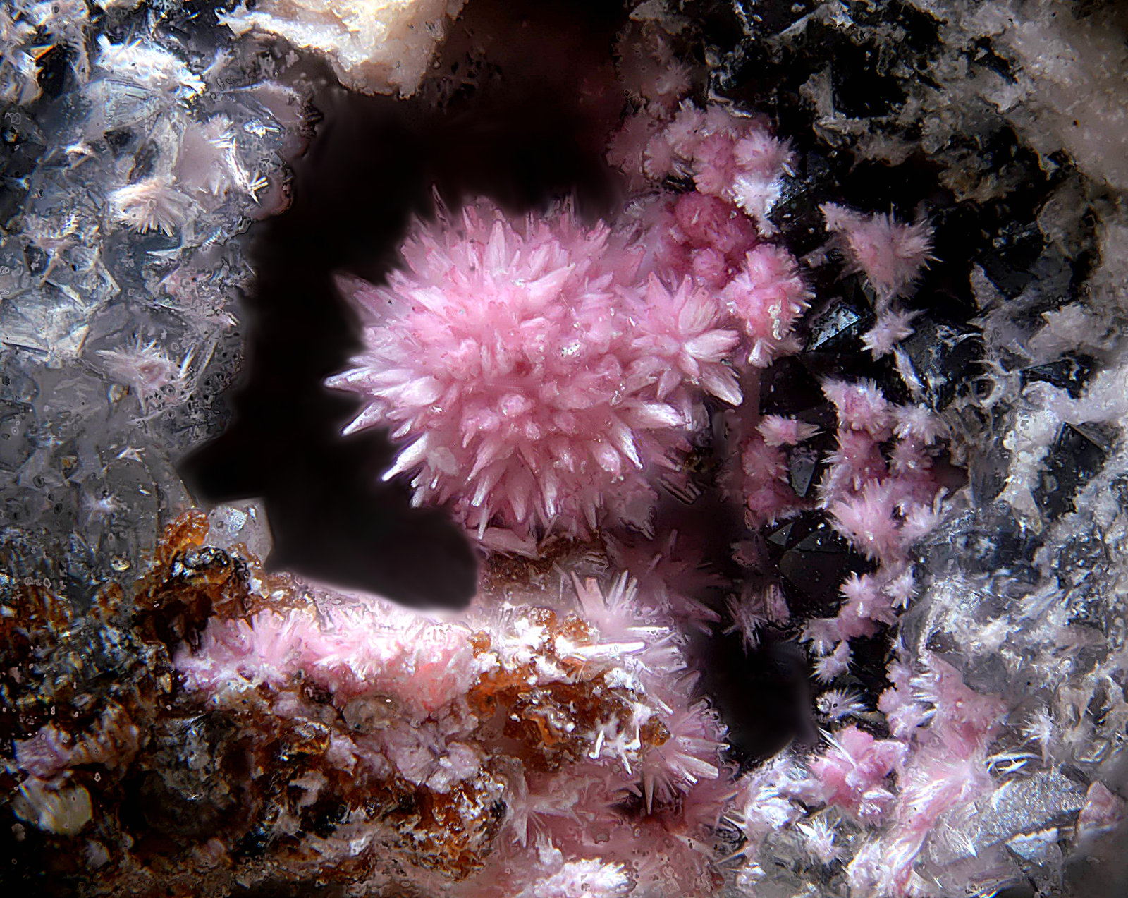 Hörnesita
Campo de visión de 2 mm
(Autor: Antonio Carmona)