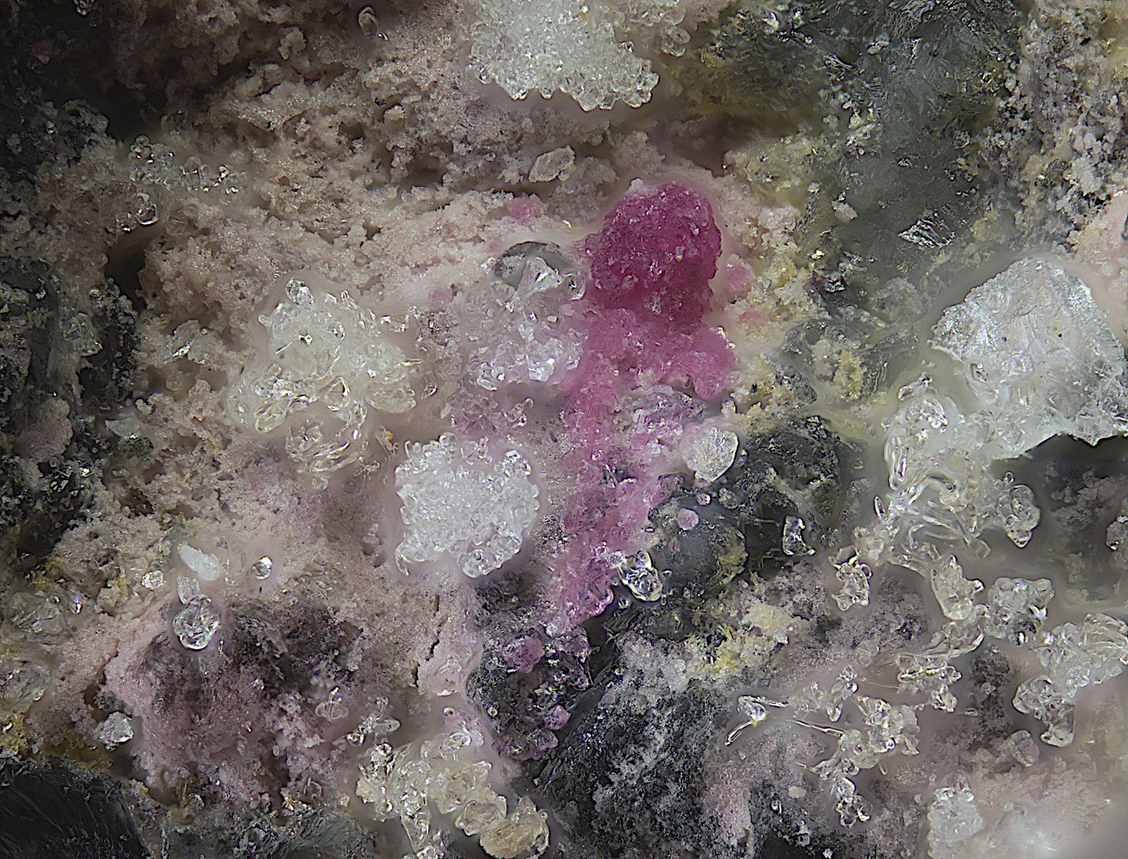Cobaltkoritnigita
Campo de visión de  1 mm.
(Autor: Antonio Carmona)