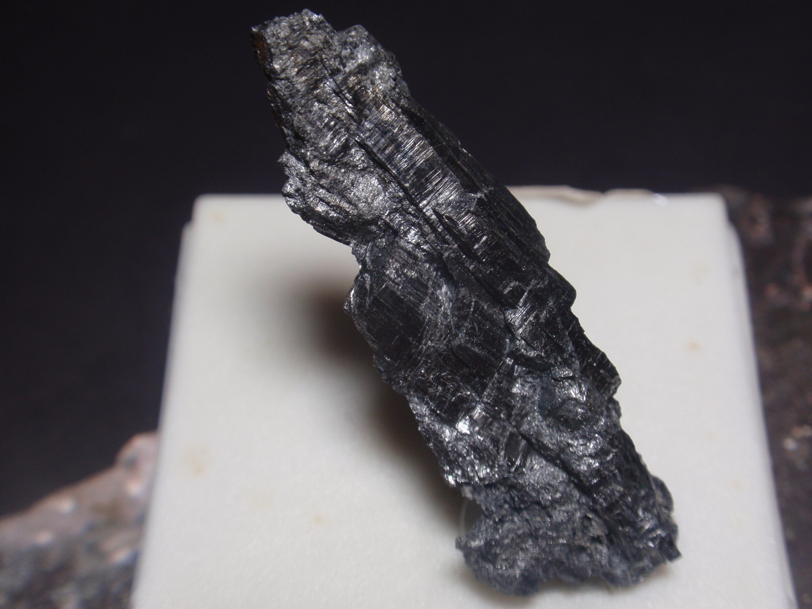 Antimonita
10x35 mm
(Autor: Ignacio)
