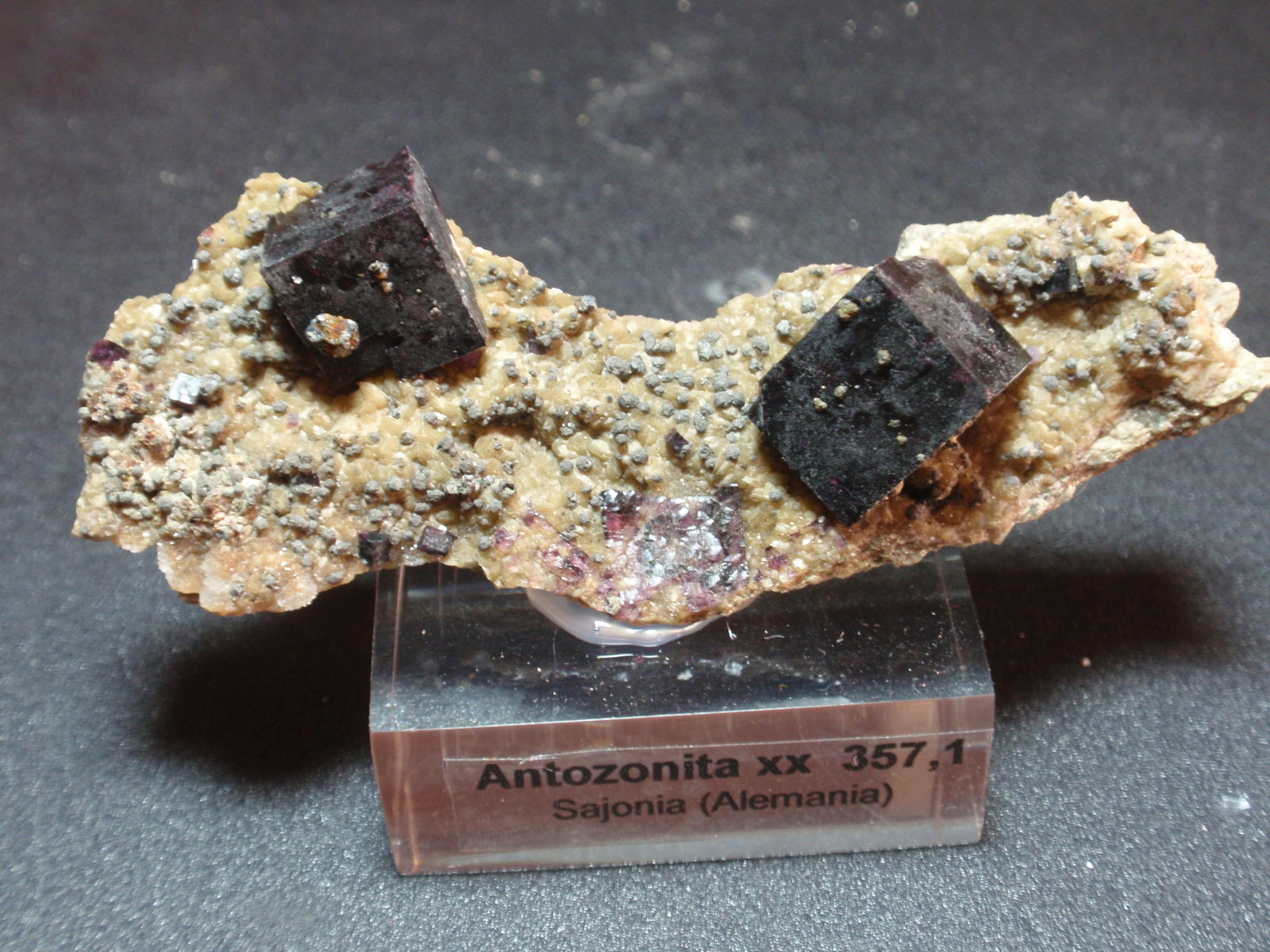 Fluorita (variedad antozonita)
80x30 mm
(Autor: Ignacio)