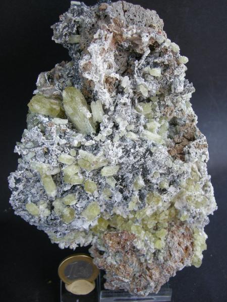 (Autor: Diego Navarro)