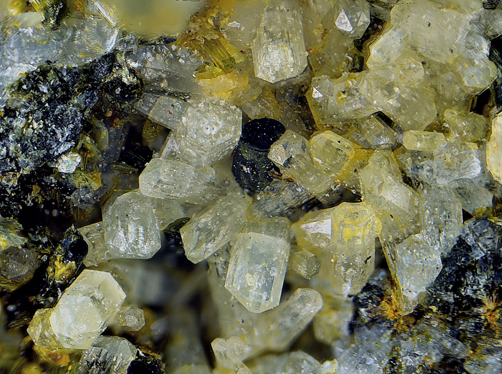 Fluorapatito (Grupo del apatito) y augita
Campo de visión de 3 mm.
(Autor: Antonio Carmona)
