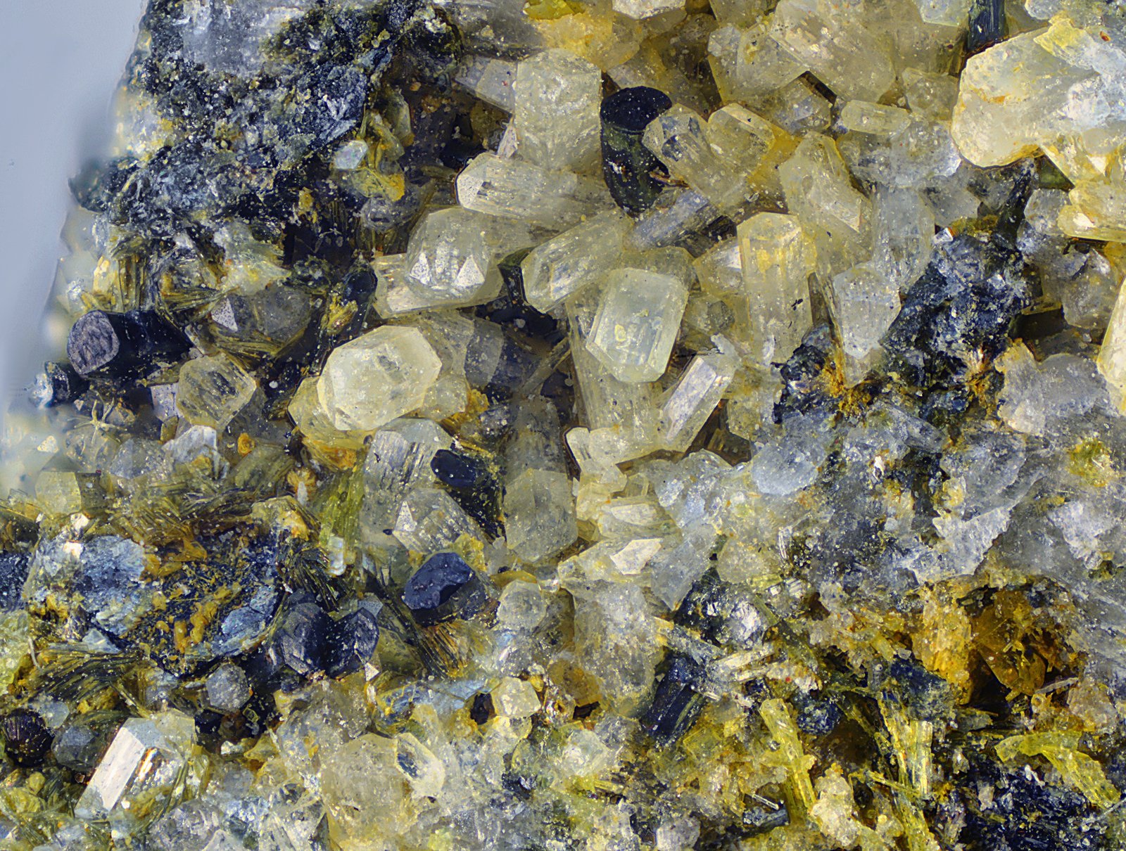 Fluorapatito (Grupo del apatito) y augita
Campo de visión de 6 mm.
(Autor: Antonio Carmona)