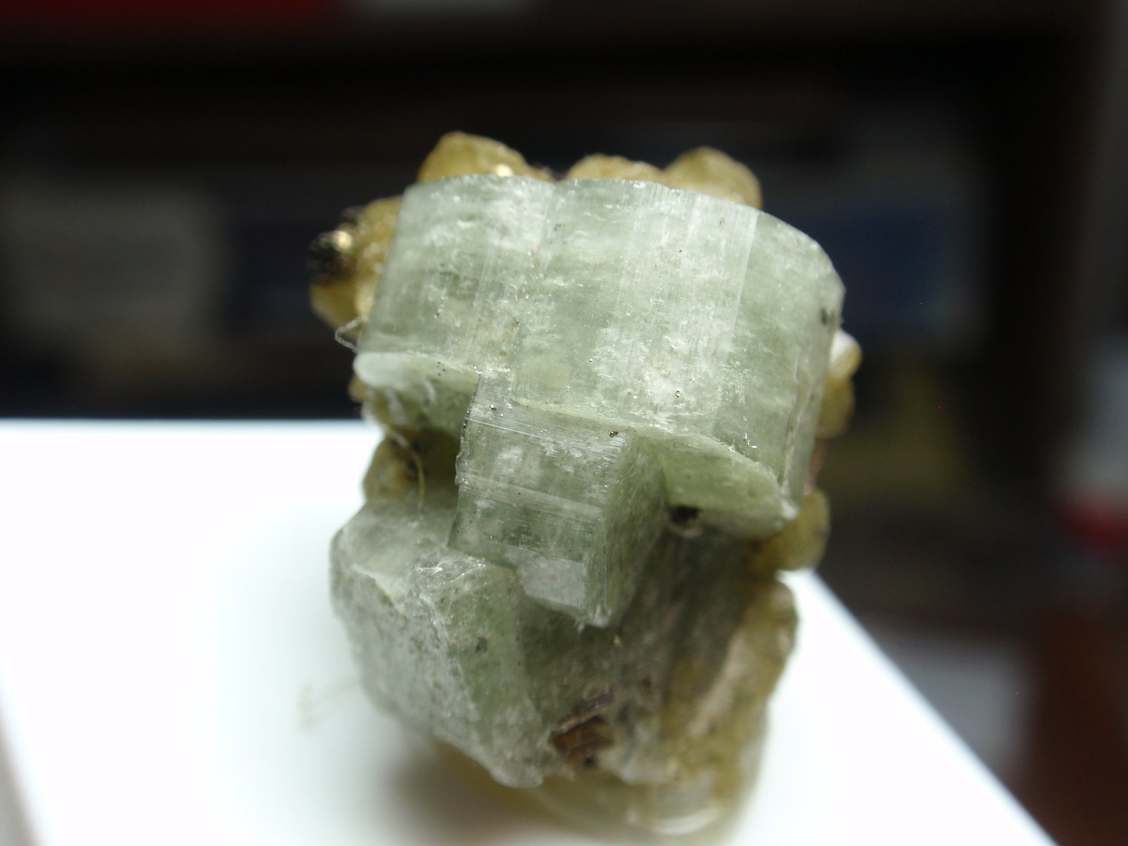 Fluorapatito
20x20 mm
(Autor: Ignacio)