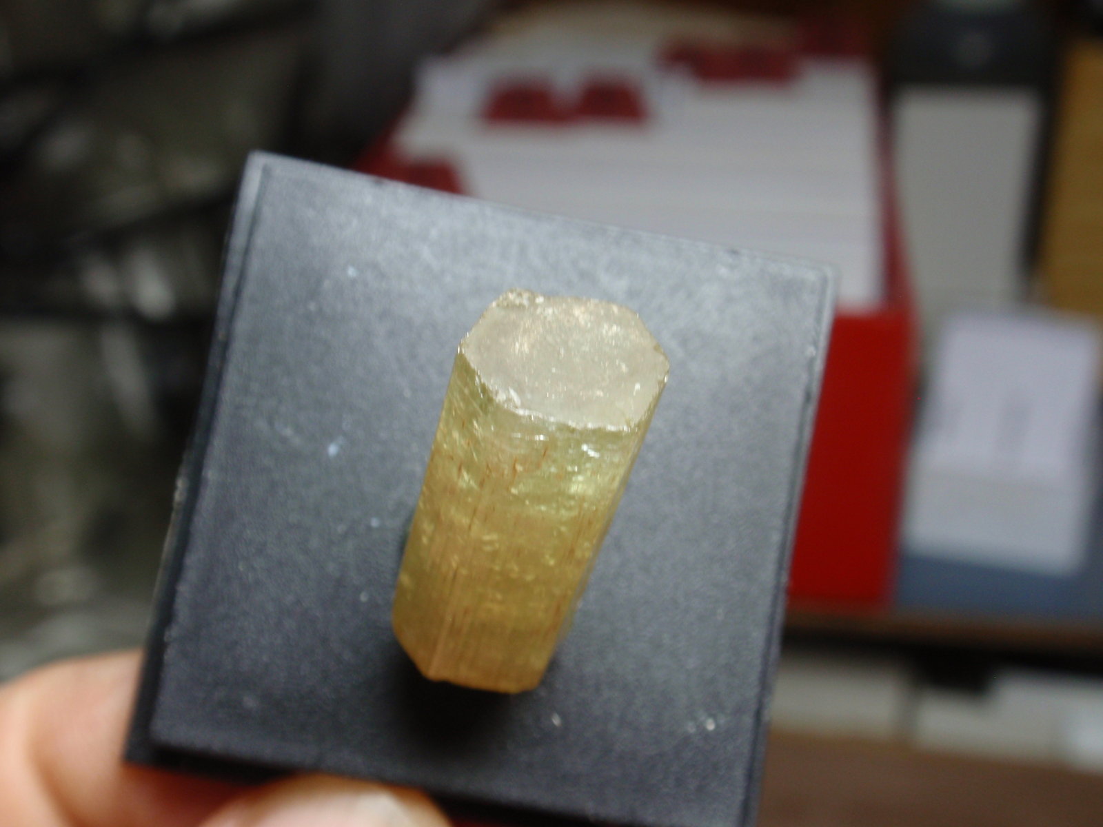 Fluorapatito (Grupo Apatito)
10x25 mm
(Autor: Ignacio)