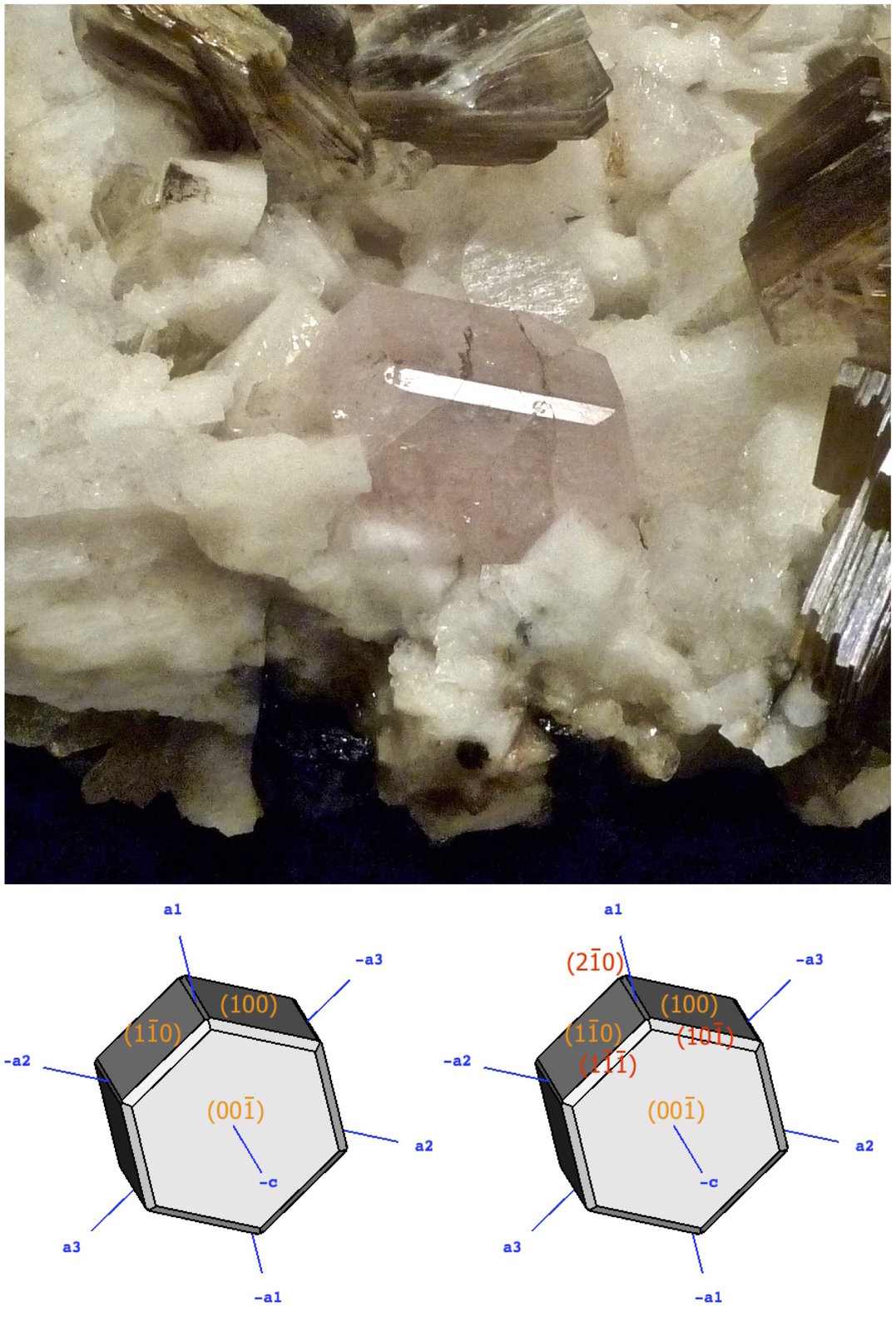 Fluorapatito
Cristal: 2,5 cm
(Autor: Josele)