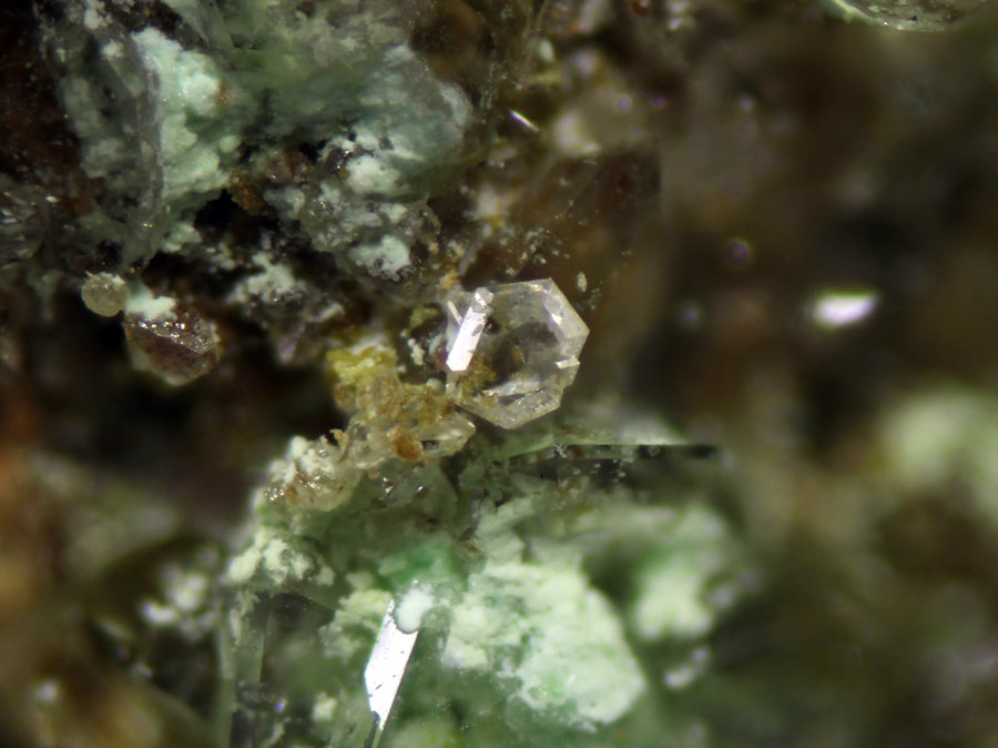 Caracolita
Encuadre 3,78mm. Cristal 0,29mm
(Autor: Oscar Fernandez)