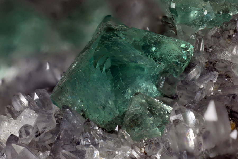 Fluorita
Encuadre de 10,8mm. Cristal de 2,55mm
(Autor: Oscar Fernandez)