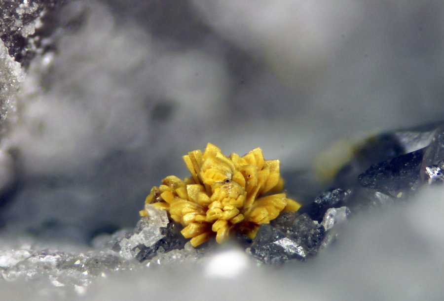 Kasolita
Encuadre de 2,39mm
(Autor: Oscar Fernandez)