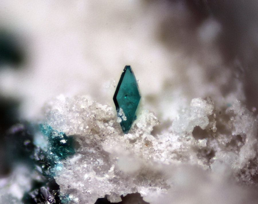 Lammerita
Encuadre de 1,37mm. Cristal de 0,15mm
(Autor: Oscar Fernandez)