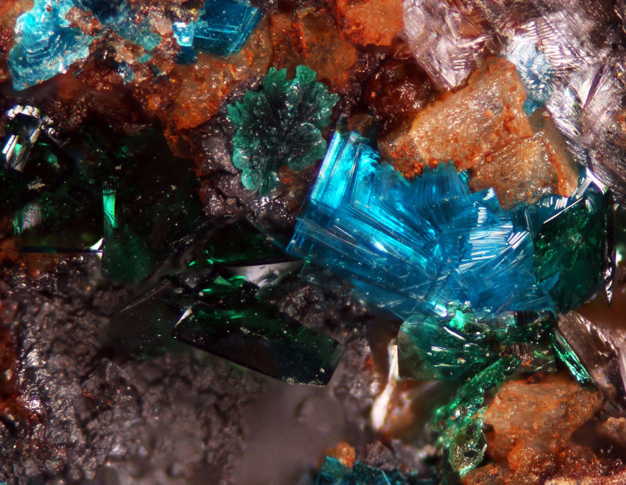 Sampleita y Atacamita
Encuadre de 2,27mm
(Autor: Oscar Fernandez)