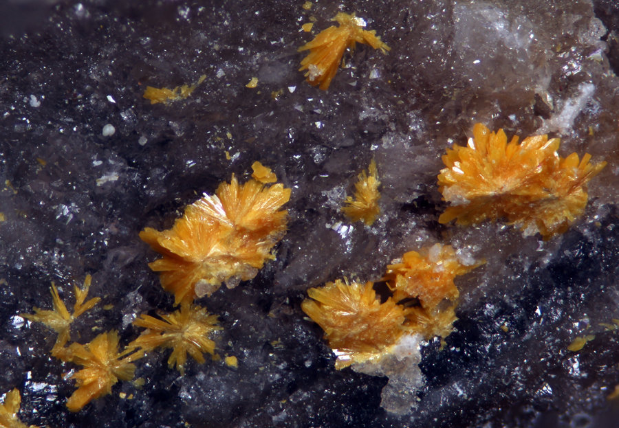Kasolita
Encuadre de 2,91mm
(Autor: Oscar Fernandez)