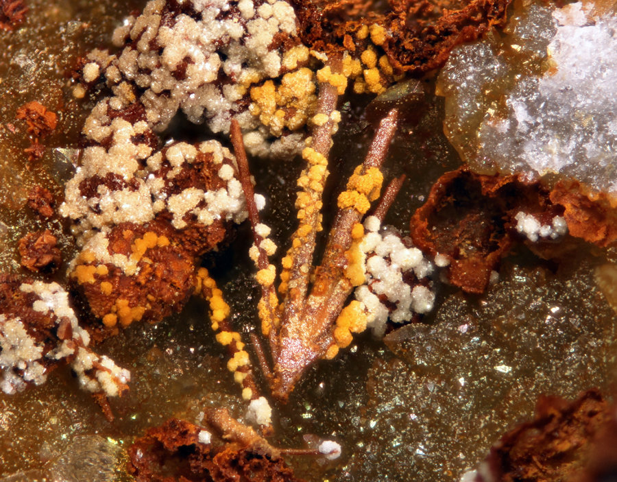 Bismoclita
Encuadre de 3,52mm
(Autor: Oscar Fernandez)