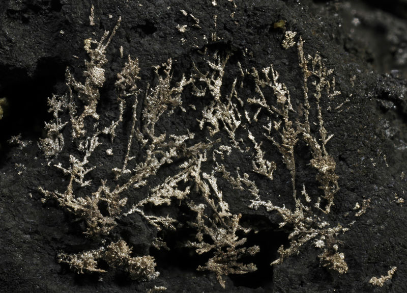 (Autor: Oscar Fernandez)