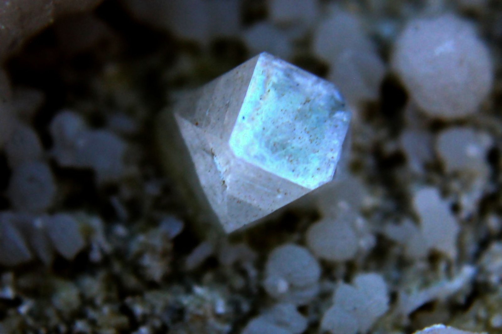 Fluorapophyllita-(K) (apofilita)
8 mm.
(Autor: José Luis Zamora)