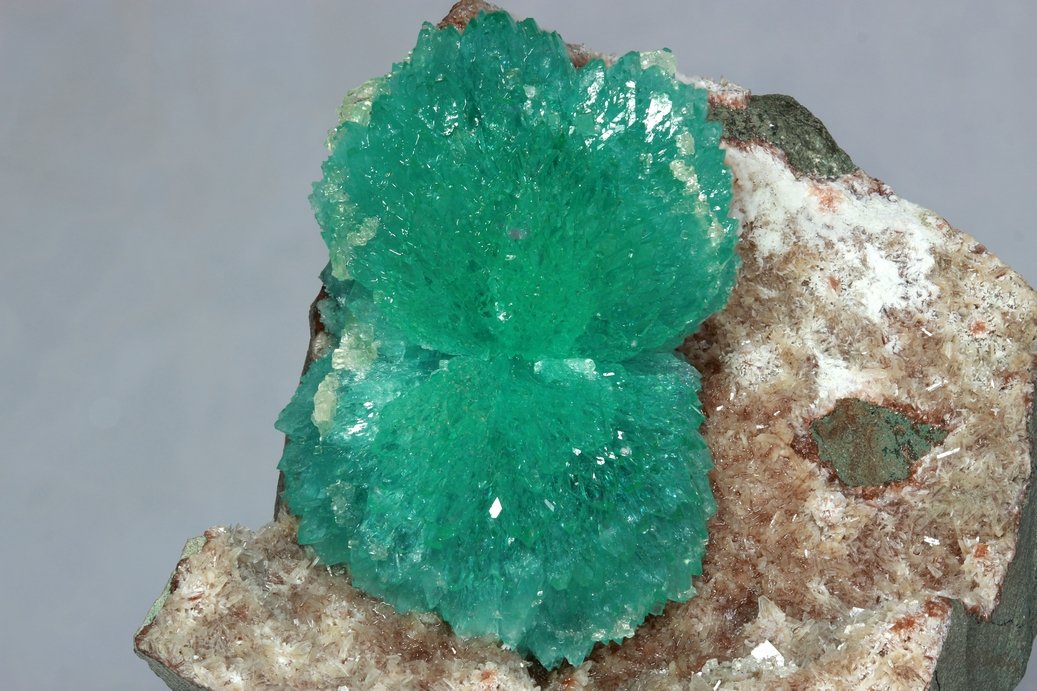 Fluorapophyllita-(K) (Apofilita)
25x40 mm
(Autor: Ramon A  Lopez Garcia)
