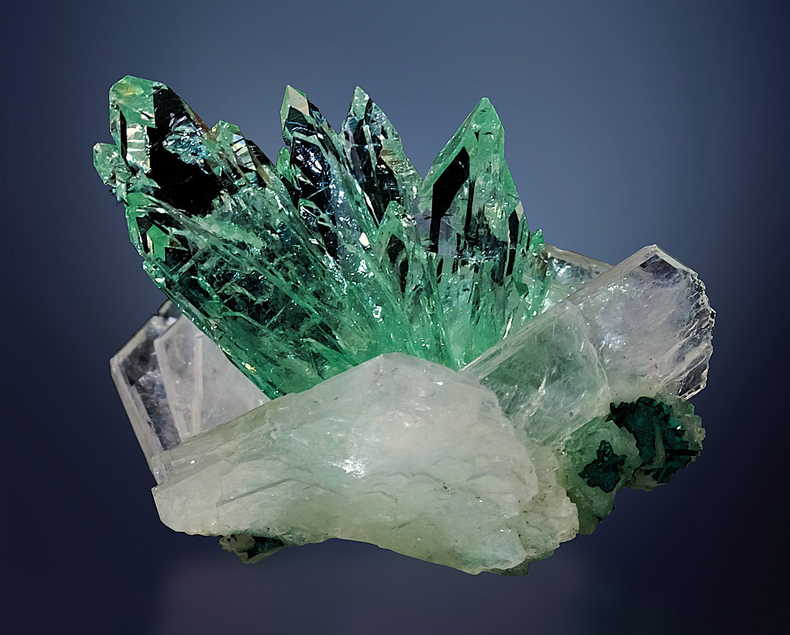 Fluorapofilita-(K)
30 x 20 mm
(Autor: Borja Sainz de Baranda)