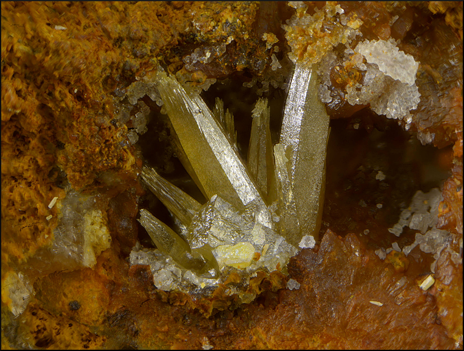 Vanadinita
Campo de visión de 4 mm.
(Autor: Antonio Carmona)