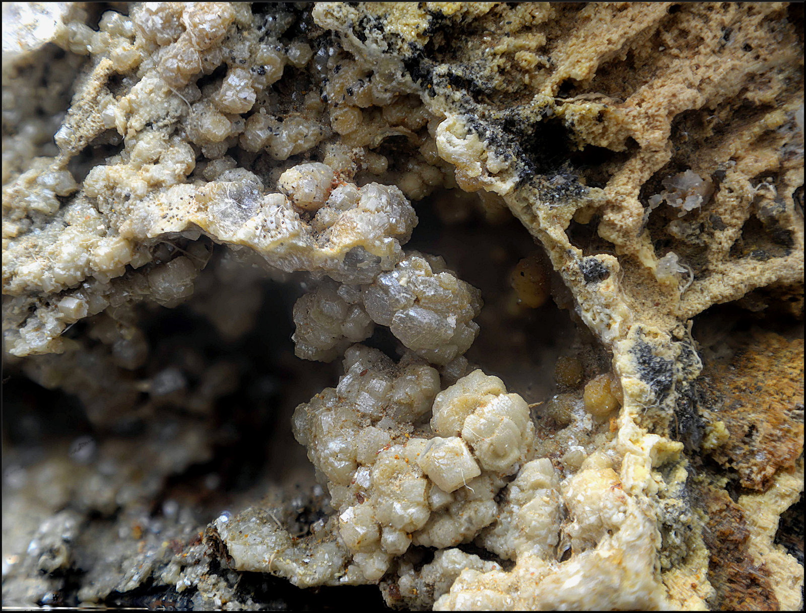 Vanadinita
Campo de visión de 10 mm
(Autor: Antonio Carmona)