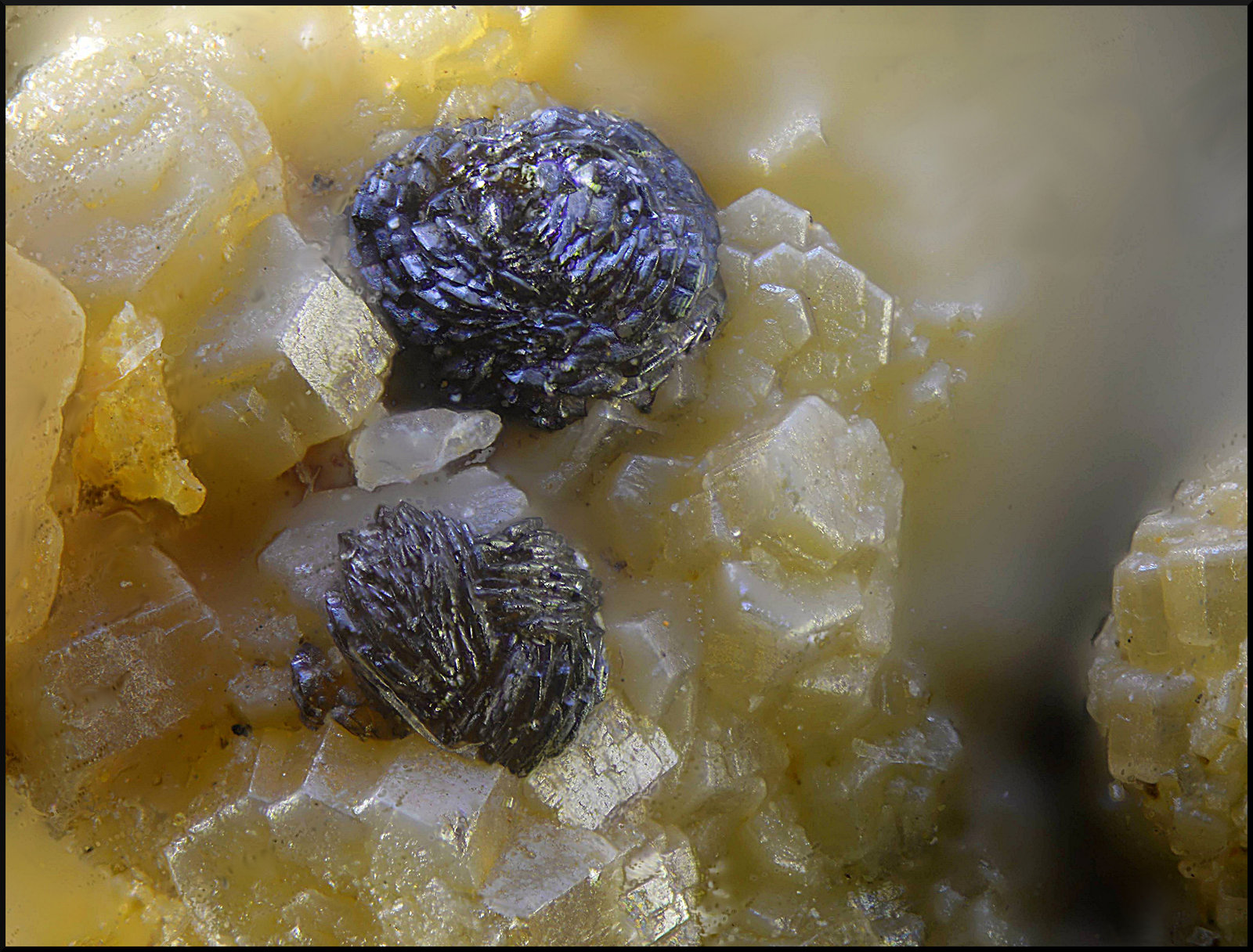 Descloizita sobre Vanadinita
Campo de visión de 1 mm.
(Autor: Antonio Carmona)