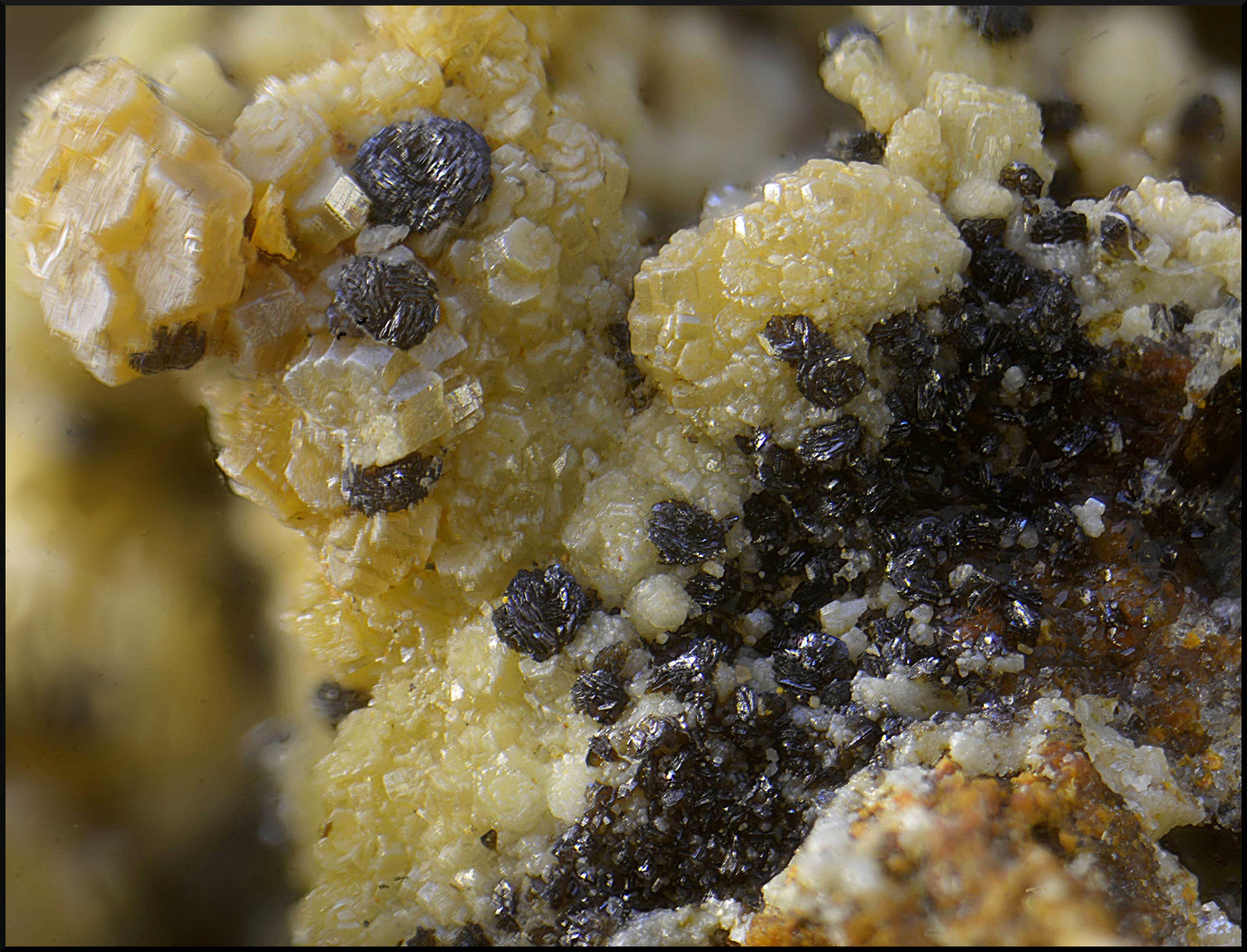 Descloizita sobre Vanadinita
Campo de visión de 4 mm
(Autor: Antonio Carmona)