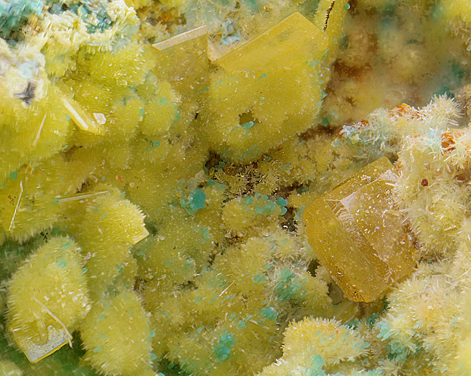 Wulfenita y Mimetita
Campo de visión de 5 mm.
(Autor: Antonio Carmona)