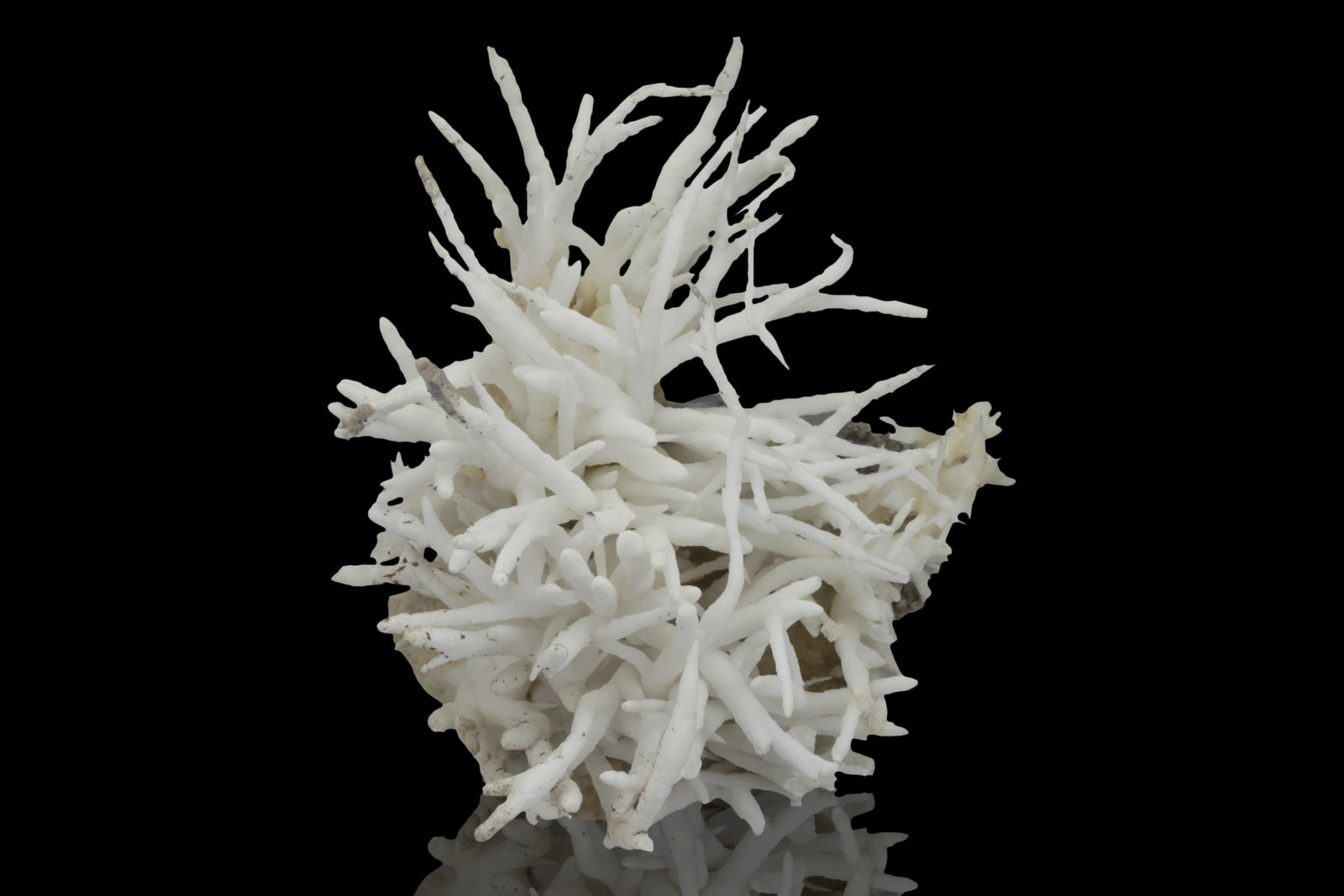Aragonito (variedad flos ferri)
7 x 8 x 6.5 cm
(Autor: Museo MIM)
