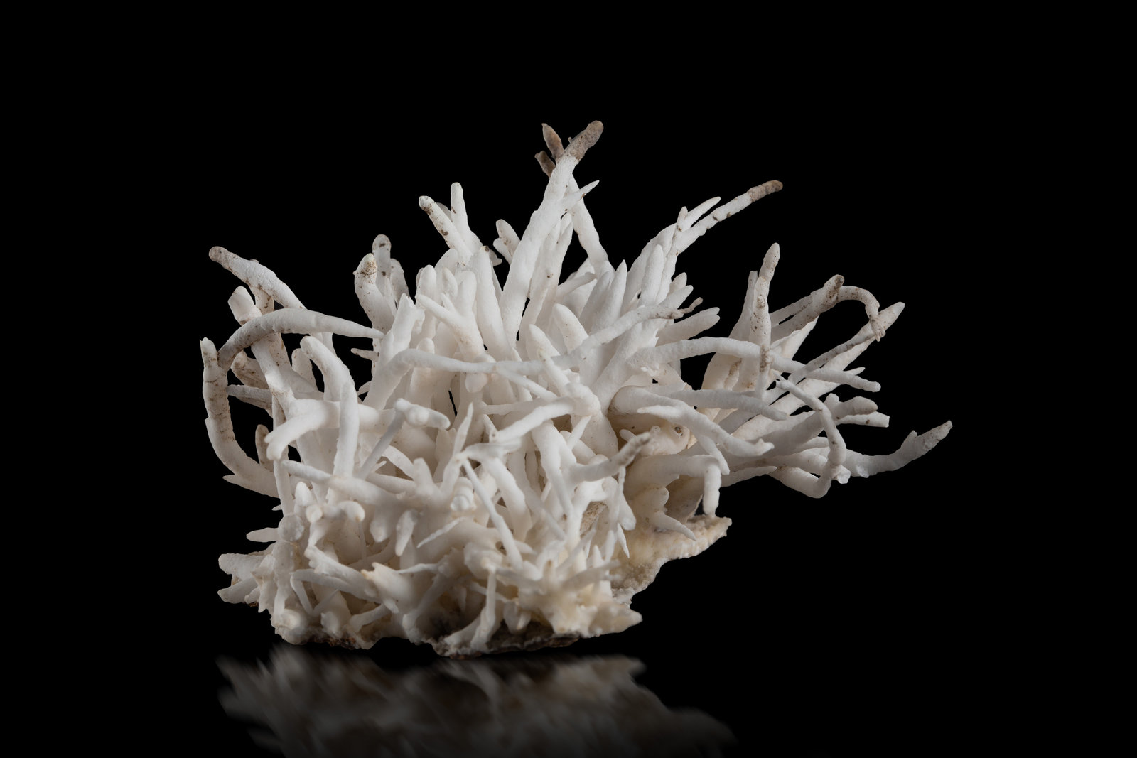 Aragonito (variedad flos ferri)
7 x 8 x 6.5 cm
(Autor: Museo MIM)