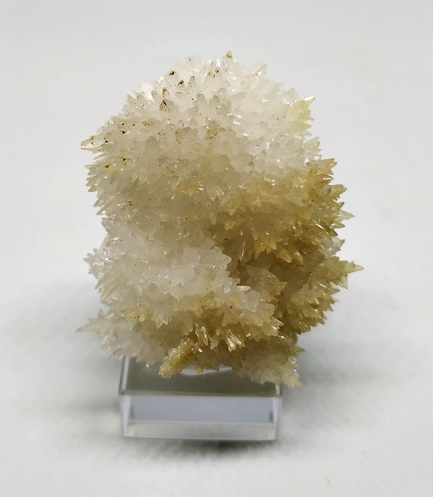 Aragonito
3,5cmx3,5cm
(Autor: Adri Rodríguez)