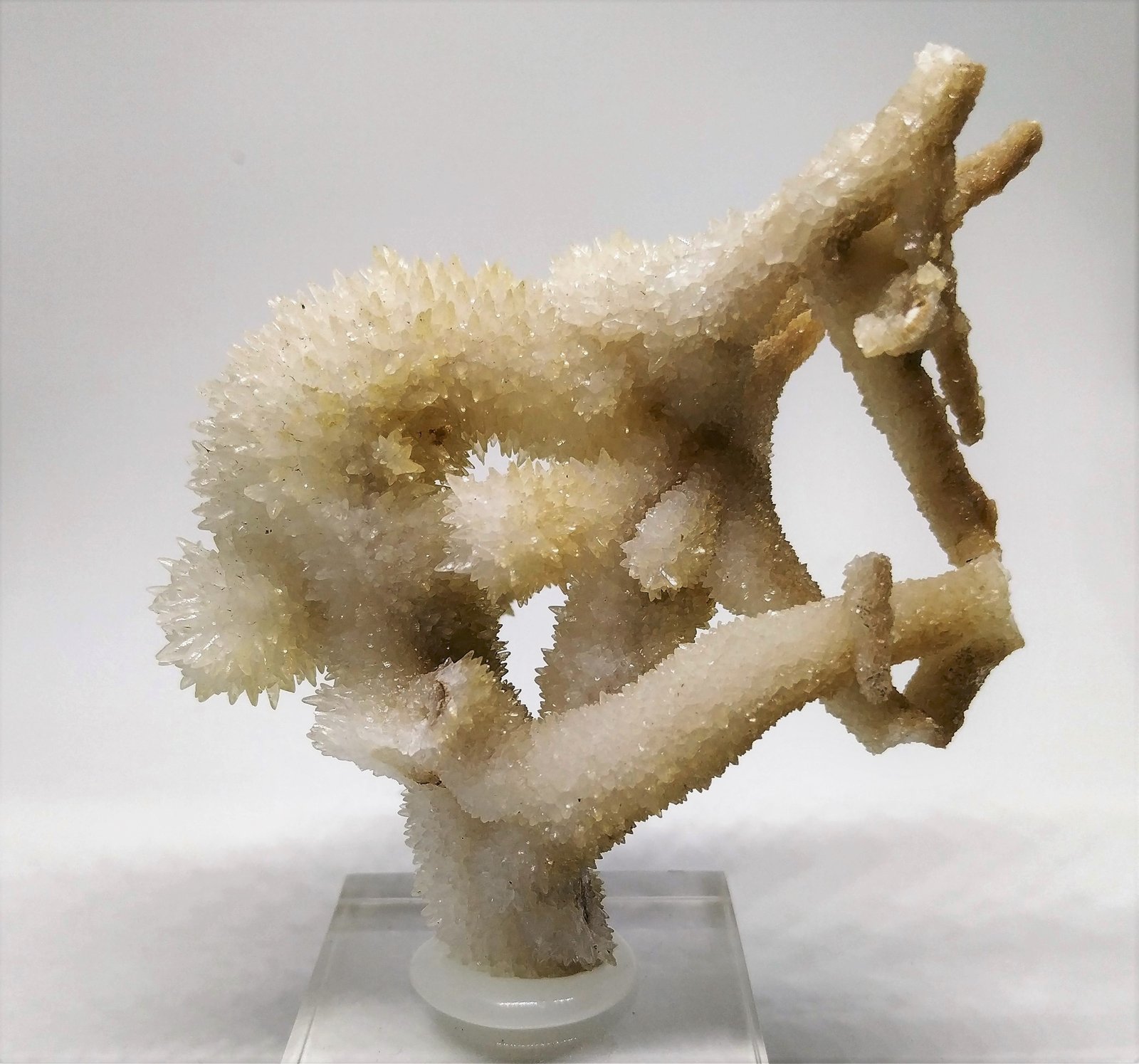Aragonito
7,5cmx7,5cm
(Autor: Adri Rodríguez)