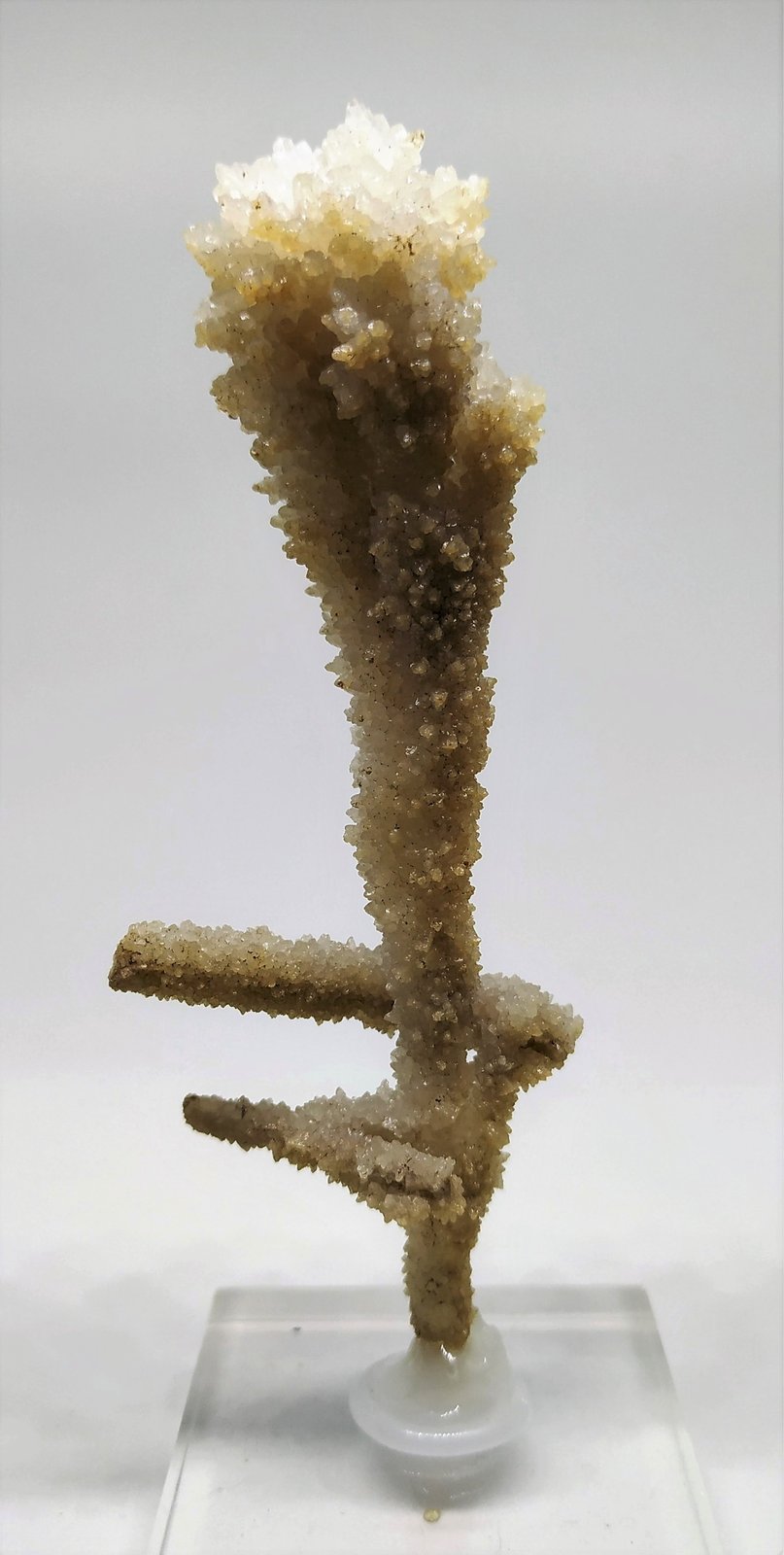 Aragonito
10cmx3,5cm
(Autor: Adri Rodríguez)