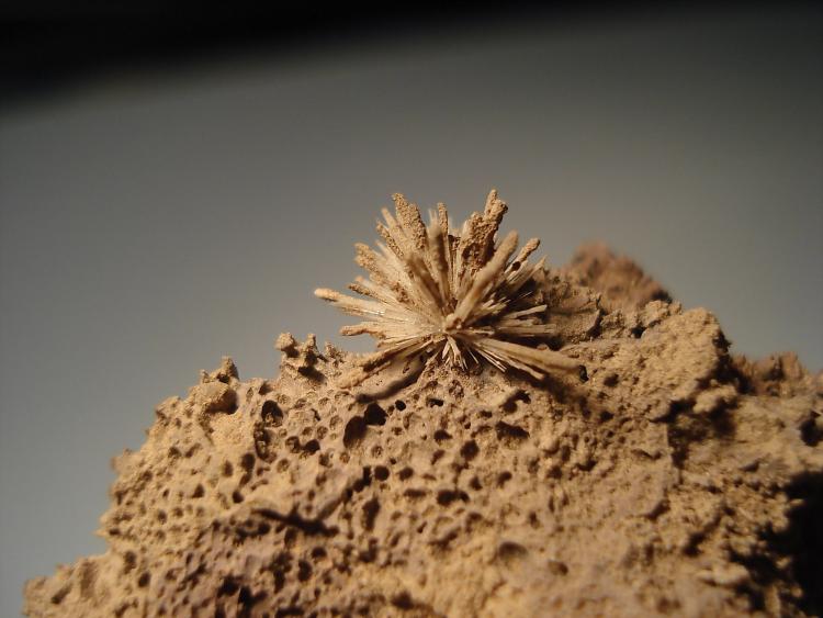 Aragonito
3x3cm
(Autor: Edonis)