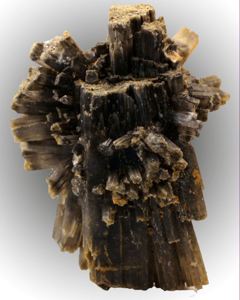 Aragonito
38 x 30 x 18 mm
(Autor: José Luis Zamora)