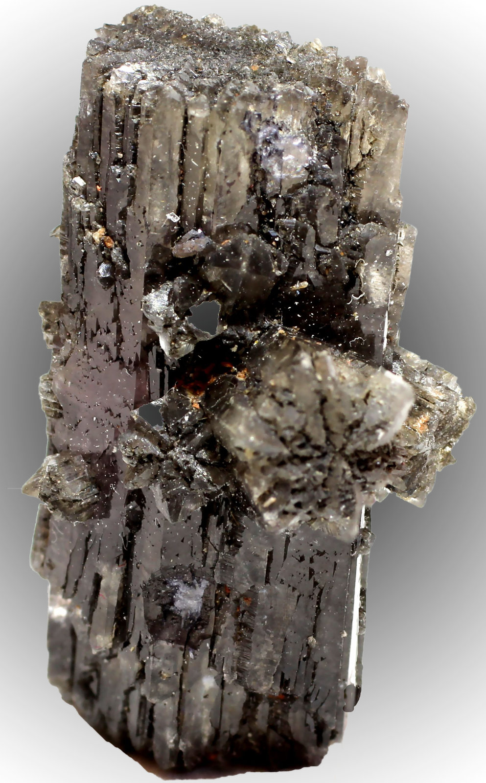 Aragonito
21 x 14 x 10 mm
(Autor: José Luis Zamora)