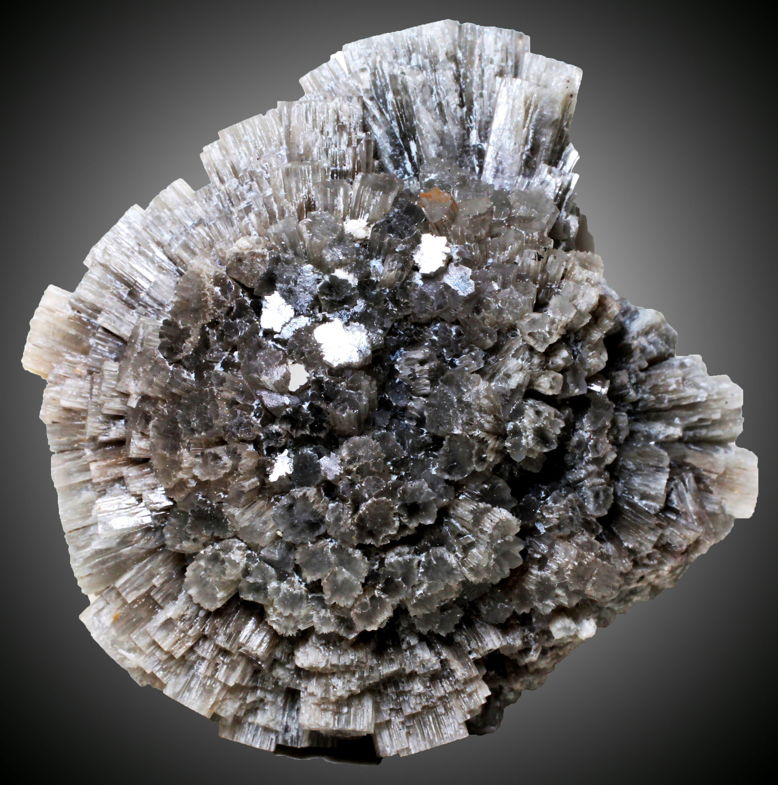 Aragonito
38 x 36 x 8 mm.
(Autor: José Luis Zamora)