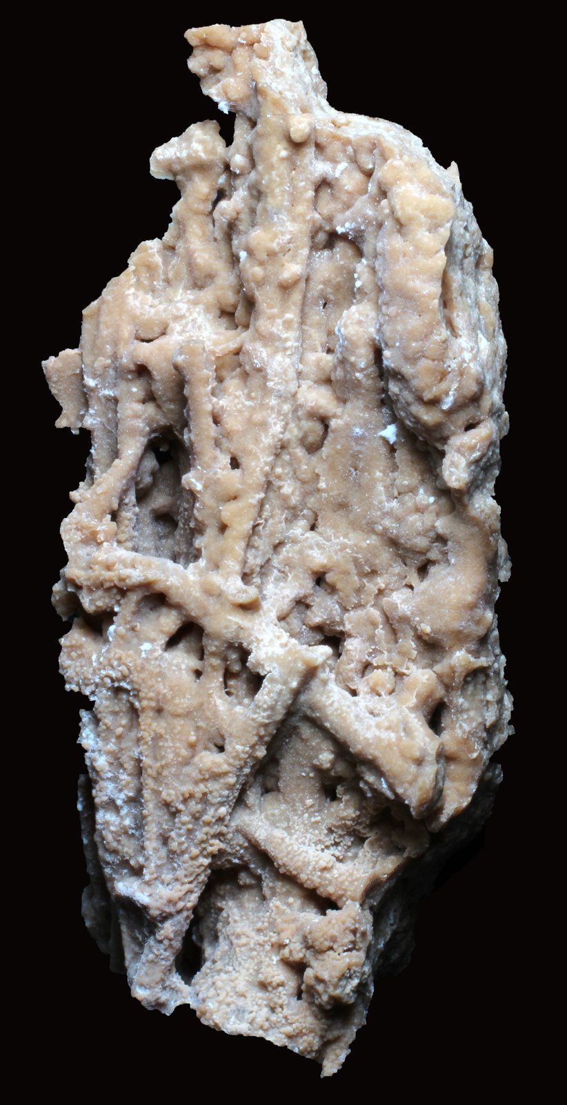 ARAGONITO
70 x 30 20 mm.
(Autor: José Luis Zamora)