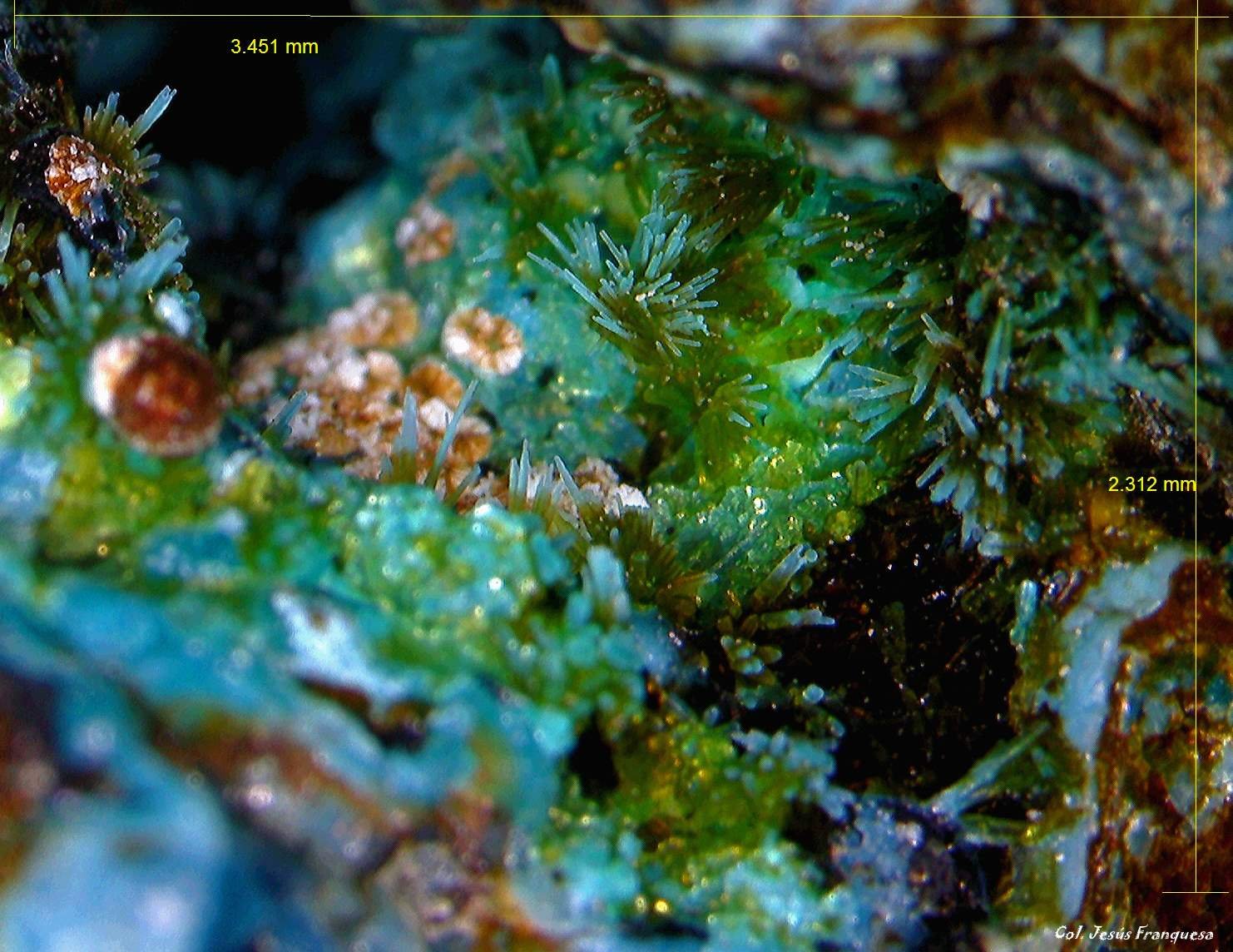 Aragonito y Brochantita.
3´451 x 2´312 mm.
(Autor: Jesus Franquesa Baucells)