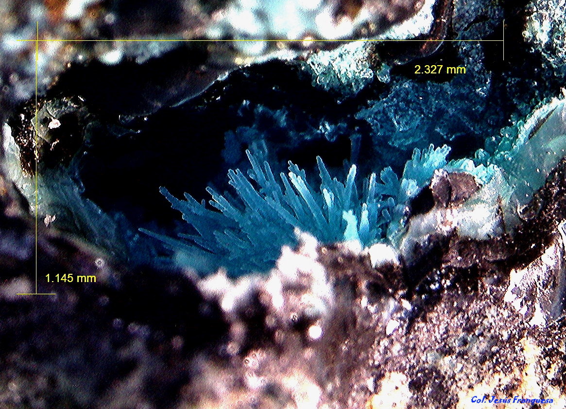 Aragonito.
2´327 x 1´145 mm.
(Autor: Jesus Franquesa Baucells)