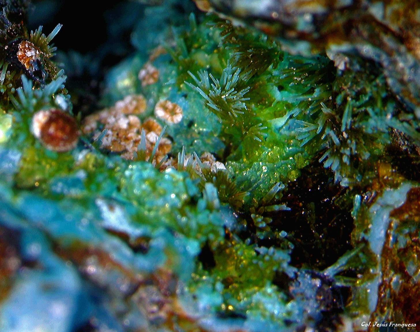 Aragonito y Brochantita.
3´451 x 2´312 mm.
(Autor: Jesus Franquesa Baucells)