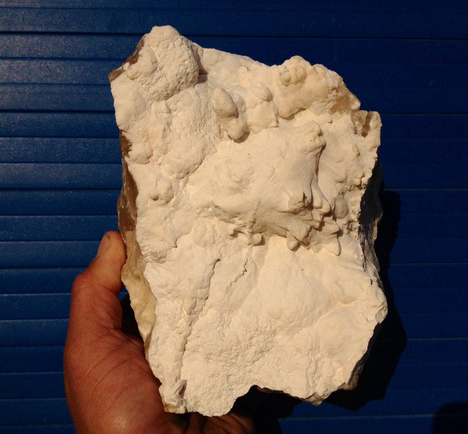 Aragonito
20x17 cm
(Autor: Emilio Téllez)