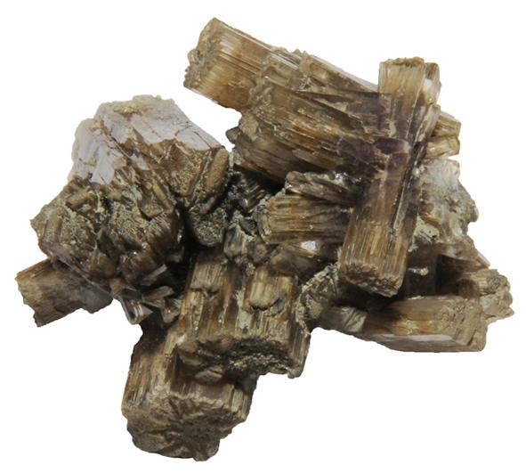 (Autor: Andrés López)