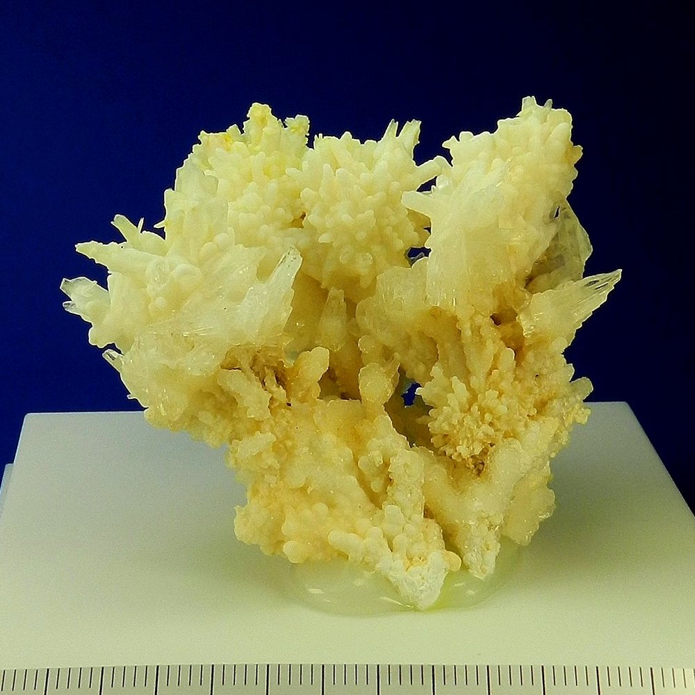 Aragonito (variedad coraloide)
10 cm (W) x 9 cm (H)
(Autor: Francisco Montalvo)