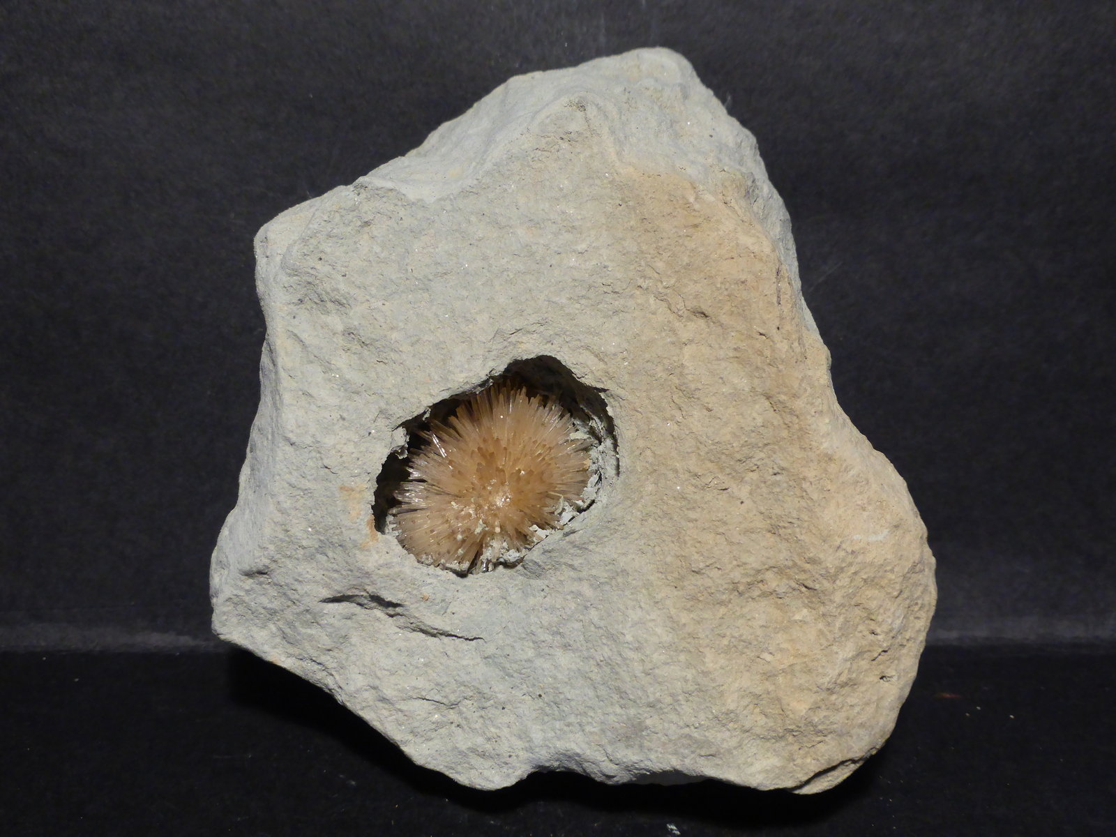 Aragonito
7,5x6 cm
(Autor: Ander Ispizua Juan)
