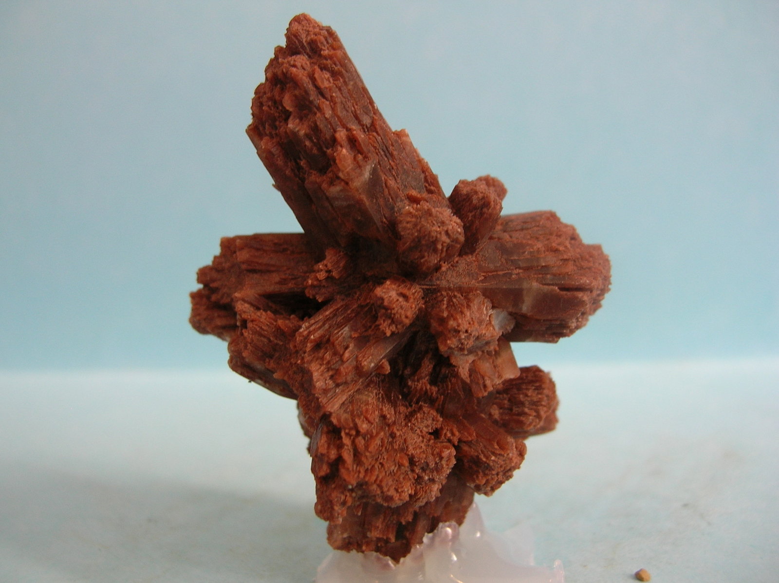 Aragonito
5 x 3,5 cm
(Autor: Pedro Conesa)