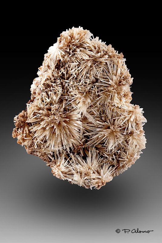 Aragonito
5,5cm x 4,5cm x 1,5cm
(Autor: Pere Alonso)