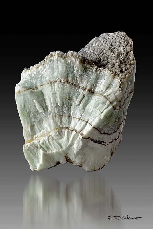 Aragonito
7,5cm x 9cm x 5,5cm
(Autor: Pere Alonso)