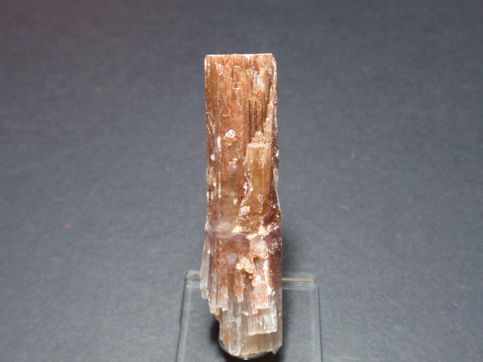 Aragonito
15x55 mm
(Autor: Ignacio)