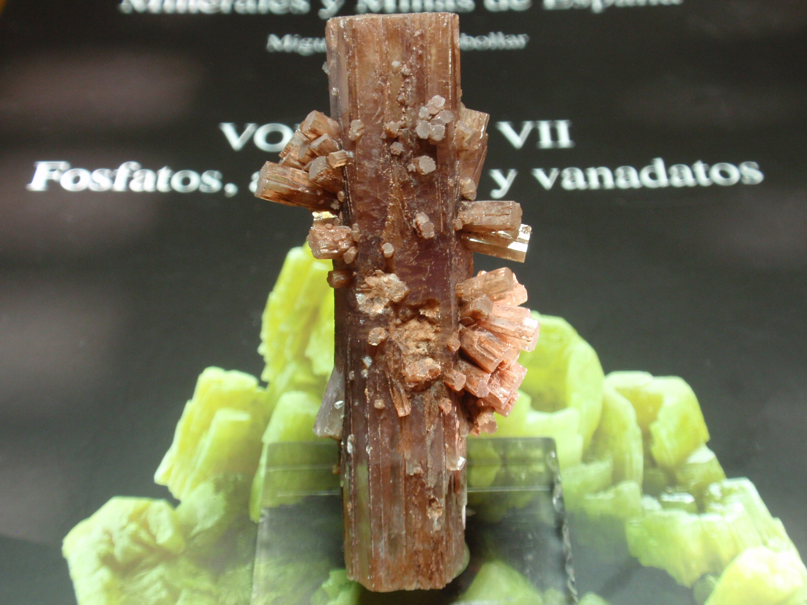Aragonito
20x65 mm
(Autor: Ignacio)