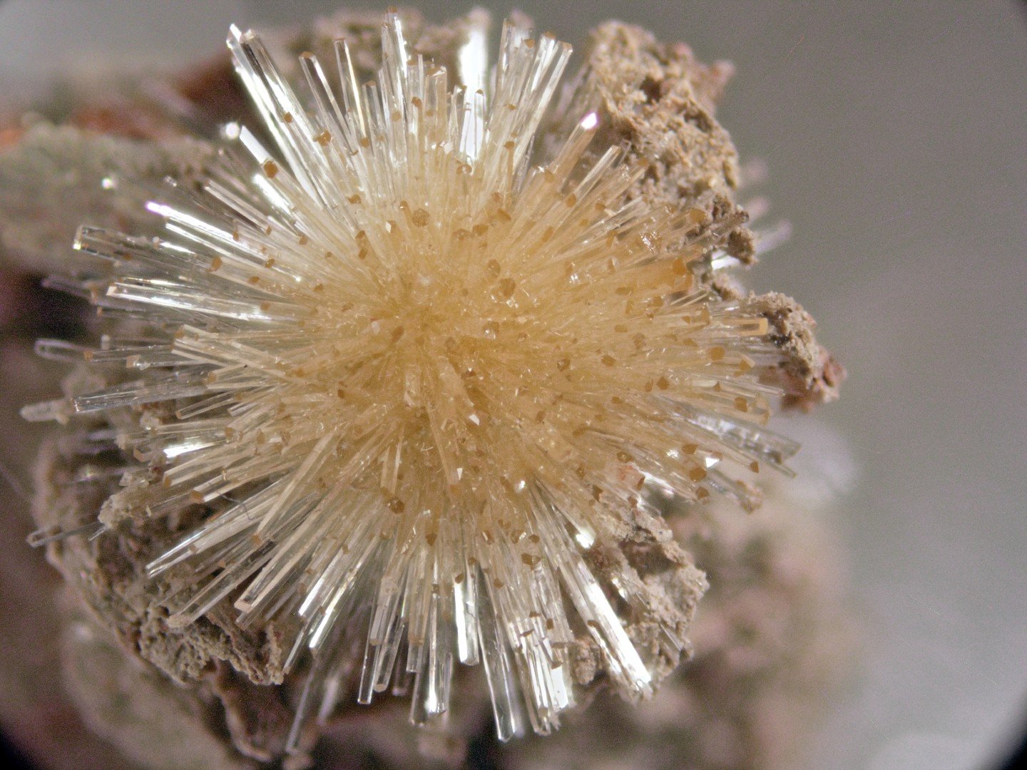 Aragonito
1 cm
(Autor: Cesar M. Salvan)
