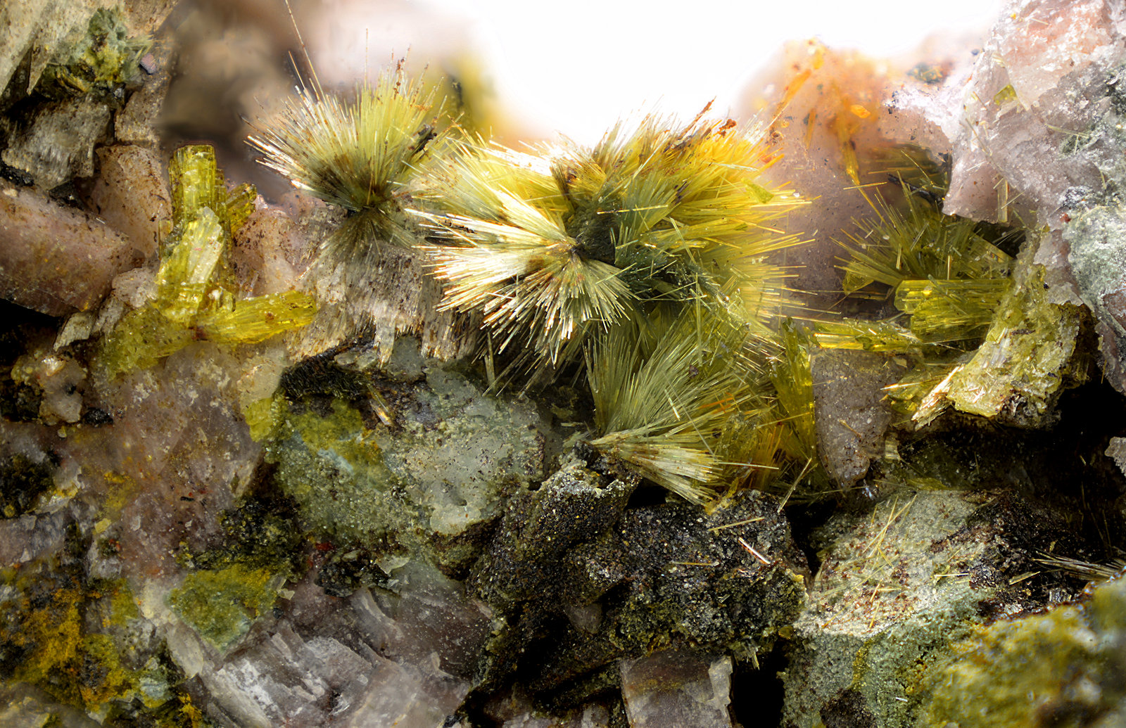 Pumpellyita, Clinozoisita, Magnetita y Oligoclasa
Campo de visión de 12 mm
(Autor: Antonio Carmona)